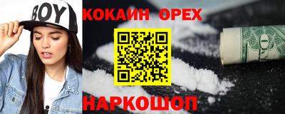 крисы Кулебаки
