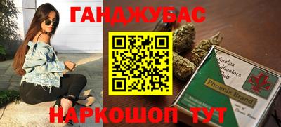 крисы Кулебаки