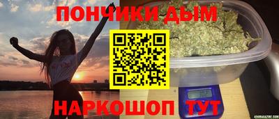 крисы Кулебаки