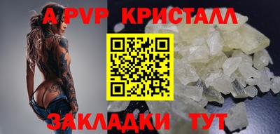 крисы Кулебаки