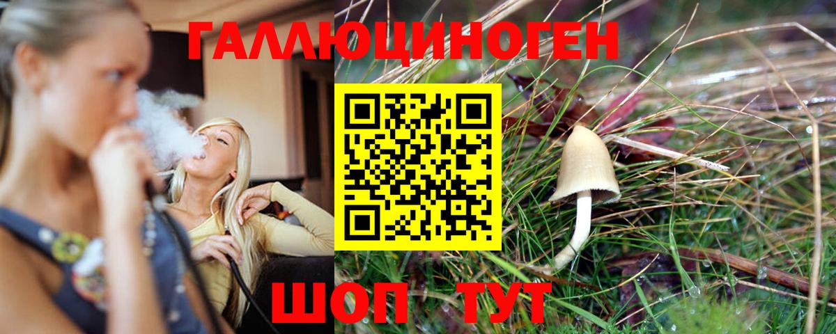 Галлюциногенные грибы мицелий Донецк